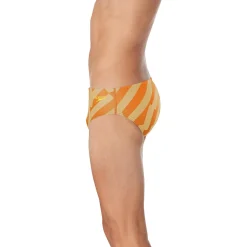 ST Vortex Maze Brief