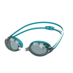 Vanquisher 2.0 Mirrored Goggle